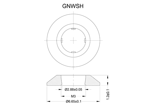 GNWSH 2D 503X350.jpg
